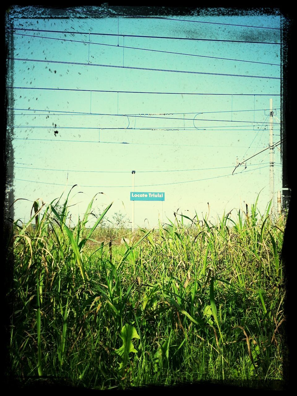 transfer print, auto post production filter, grass, green color, field, plant, growth, blue, grassy, text, green, day, communication, nature, western script, outdoors, no people, tranquility, landscape, close-up