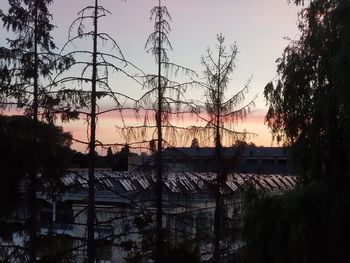 Silhouette trees and buildings against sky at sunset