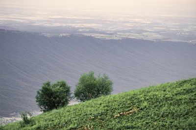hill