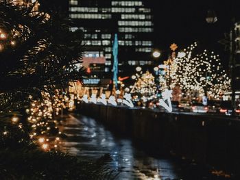 Illuminated christmas tree at night