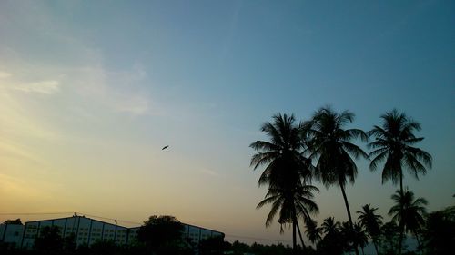 Low angle view of silhouette trees against sky at sunset