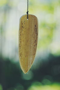 Close-up of fruits hanging on wood