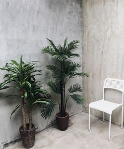 Empty chair by potted plants against wall