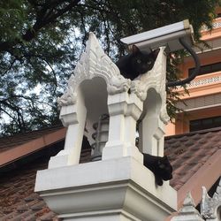 Low angle view of statue against building