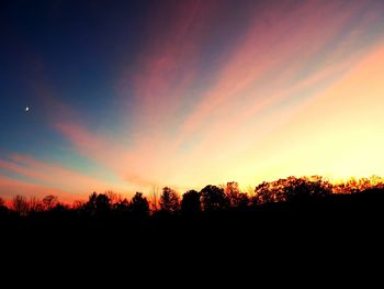 Silhouette of trees at sunset