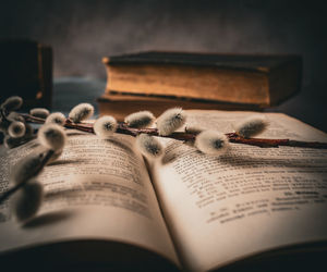 Close-up of open book on table