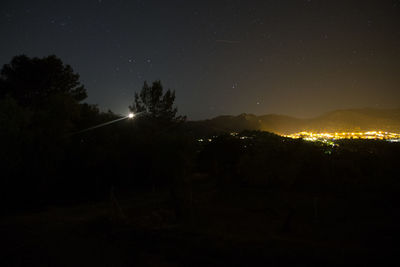 Silhouette trees against illuminated sky at night