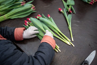 Worker sorting fresh tulips by color and length for sale in bulk in industrial greenhouse.