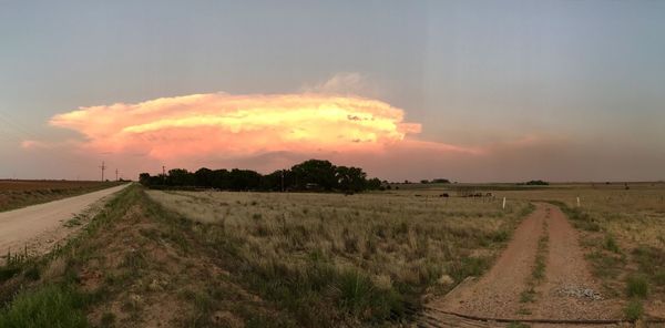 Scenic view of agricultural field against sky during sunset