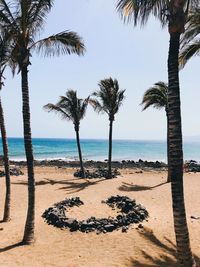 Palm trees on beach against sky