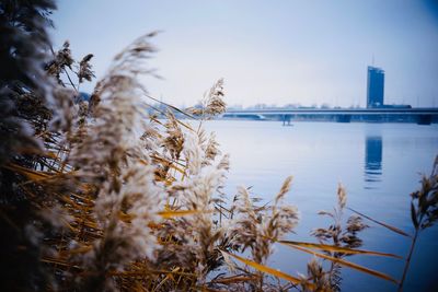 Scenic view of river against sky during winter