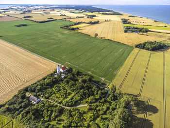 High angle view of agricultural field