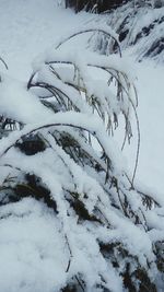 Scenic view of snow covered landscape