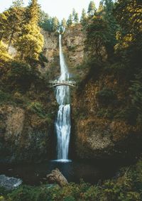 Scenic view of waterfall in forest