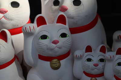 Close-up of gotokuji cat