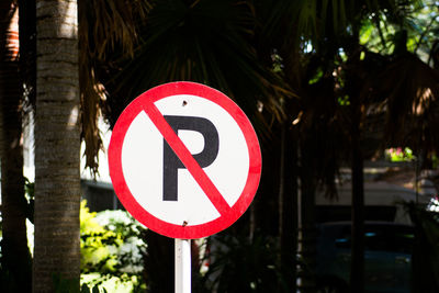 Close-up of road sign against trees