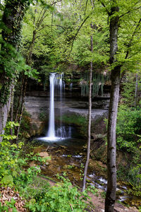 Scenic view of waterfall in forest