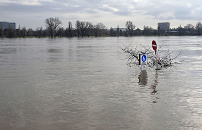 Extreme weather - flooded pedestrian zone in cologne, germany