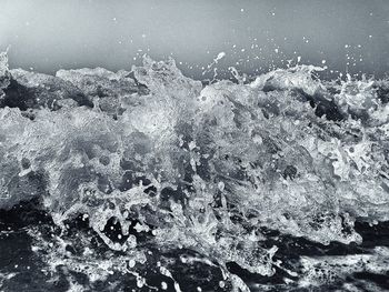 Close-up of jellyfish against sky