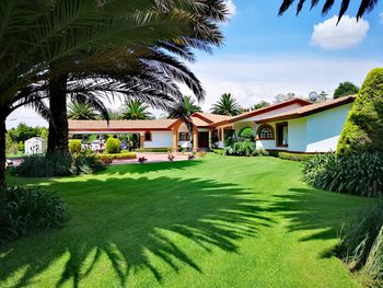 Lawn by swimming pool in front of building