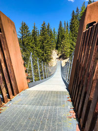 Suspension bridge at lago di carezza, dolomites