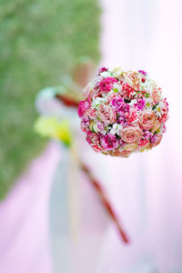 Close-up of pink flower blooming outdoors