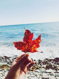 Close-up of hand holding maple leaf on beach against sky