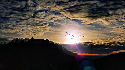 Low angle view of silhouette birds flying against sky