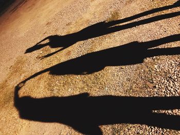 High angle view of shadow on sand