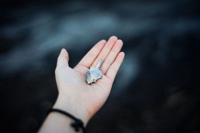 Close-up of hand holding leaf