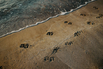 High angle view of footprints on beach