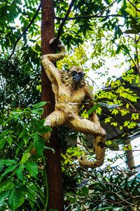 Low angle view of lizard on tree