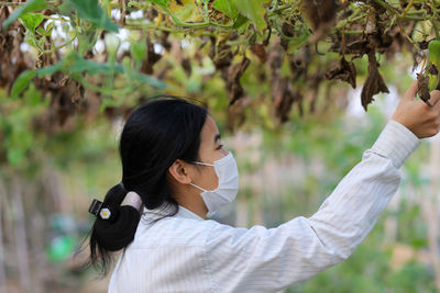 Smiling teenager girl with face mask harvesting sponge gourd in the garden