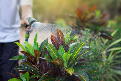 Man holding plant