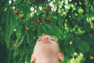 Boy looking away on tree