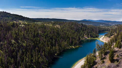 High angle view of lake amidst trees against sky