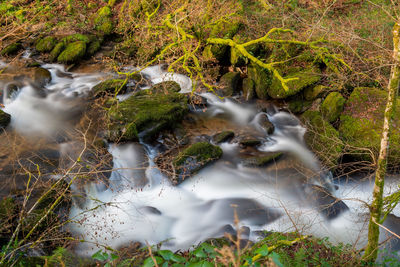 Water flowing through rocks in forest