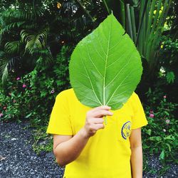 Person covering face with large green leaf while standing against plants