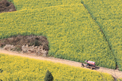 High angle view of agricultural vehicle