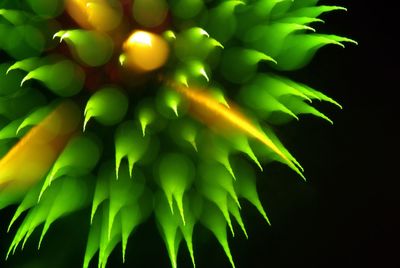 Defocused image of multi colored lights