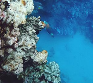 Rocks in sea