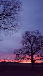 Silhouette bare tree against sky at dusk