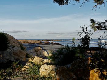 Scenic view of sea against sky