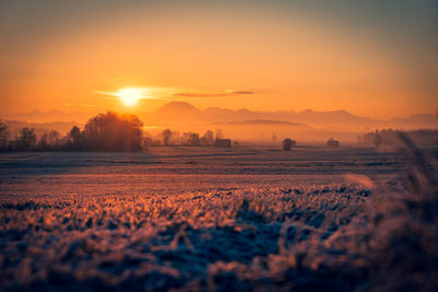 Scenic view of field against sky during sunset