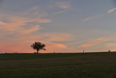 Scenic view of field against sky during sunset