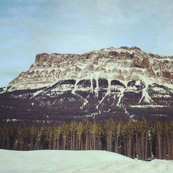 Scenic view of snow covered landscape