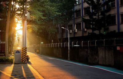 Street amidst trees in city on sunny day