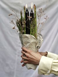 Cropped hand of woman holding plant with candle