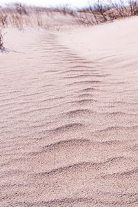 Close-up of sand dunes at beach