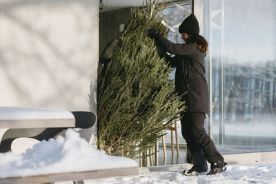 Woman putting christmas tree inside house